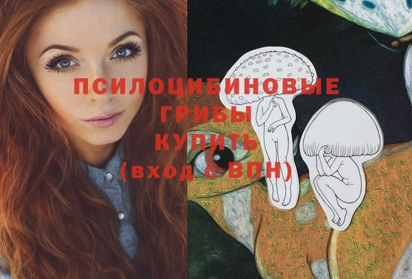 сатива Козельск