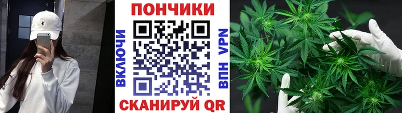 Купить  Красновишерск  Каннабис гибрид 